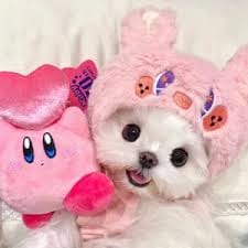 Taufik Hidayat avatar